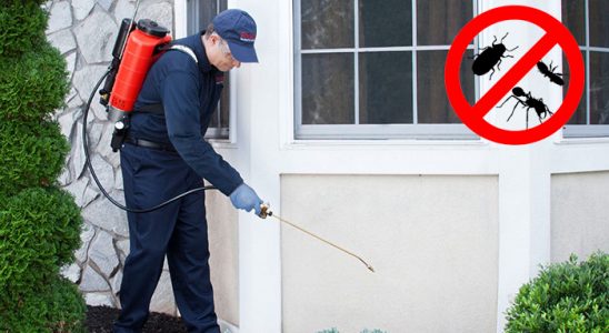 Sulusaray Kene İlaçlama böcek ilaçlama ve haşere kontrolü — ilaclama-tr.com